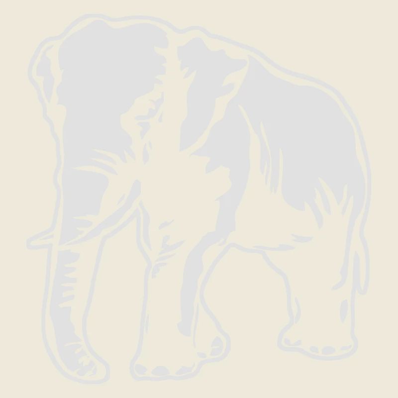 Elephant - Elefant
