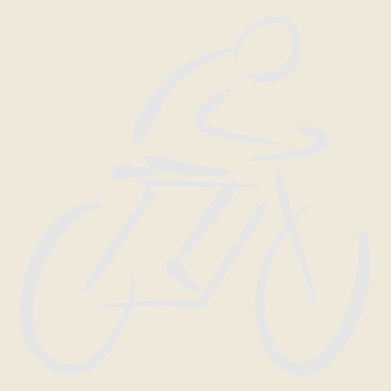 Cyclists on bicycles