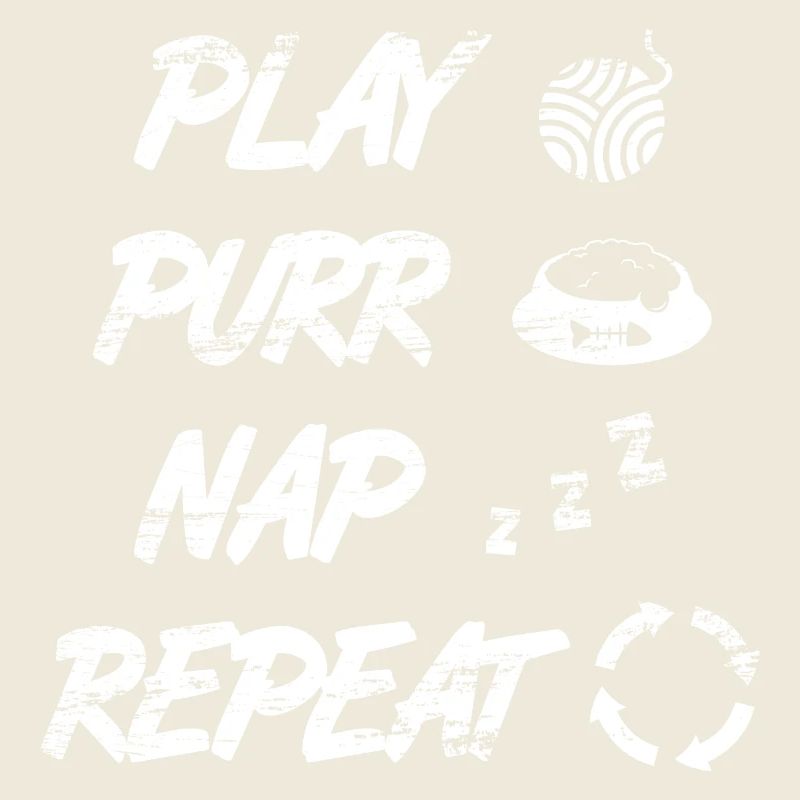 Routine quotidienne du chat