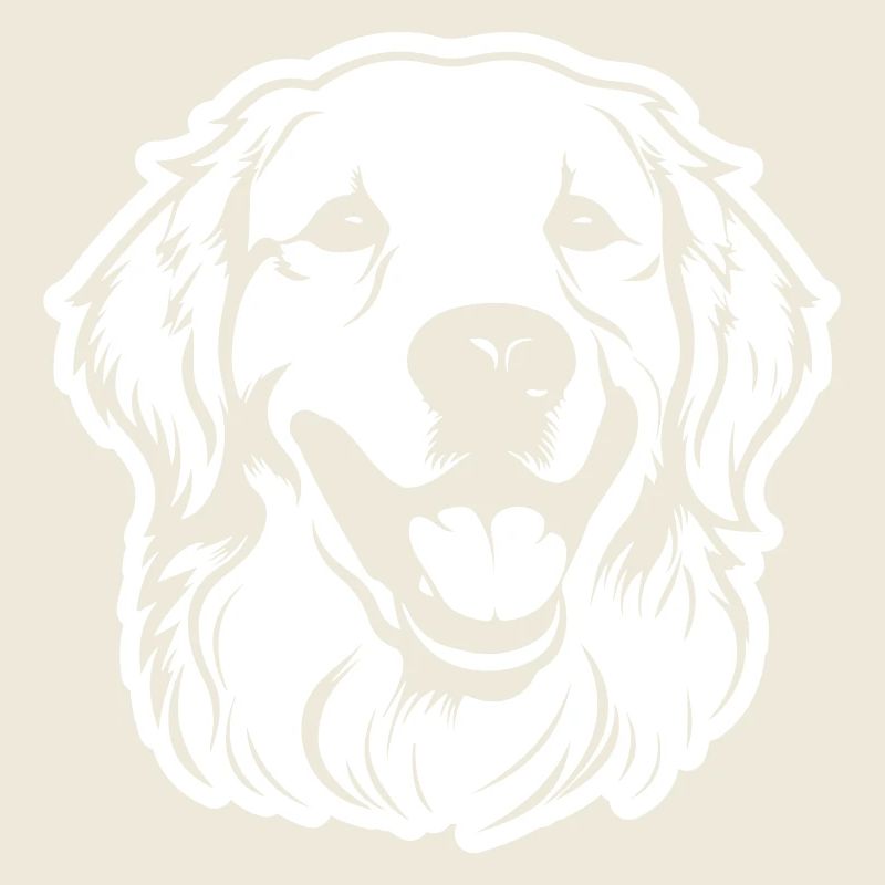 Golden Retriever Hund Kopf