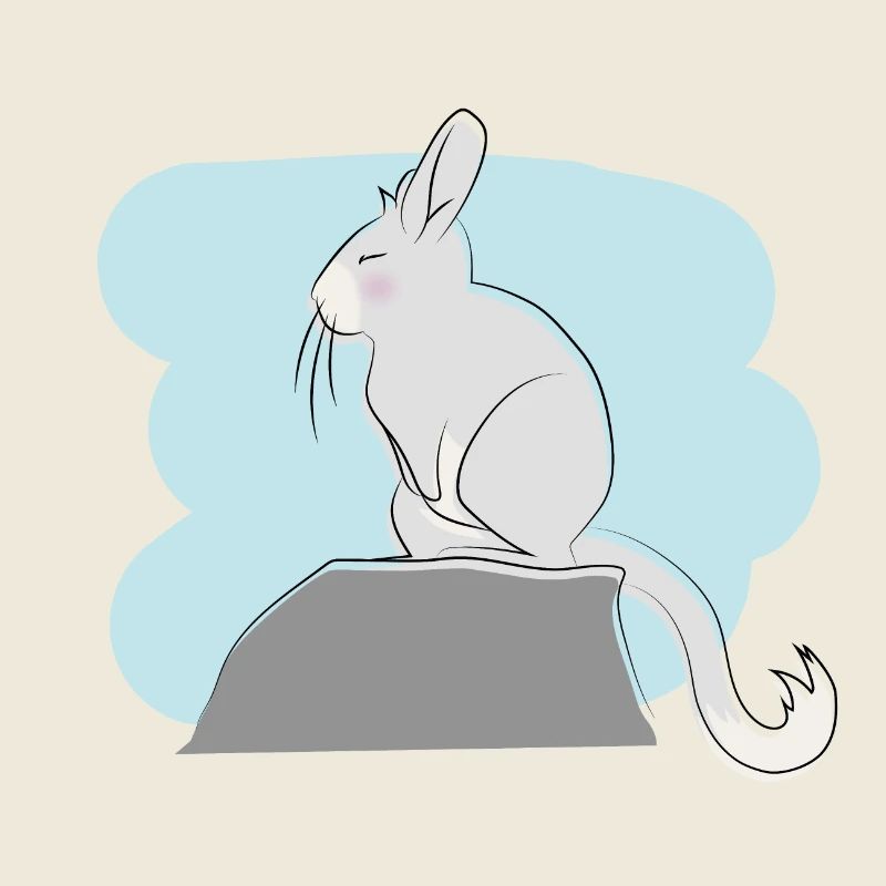 Design illustré avec Viscacha