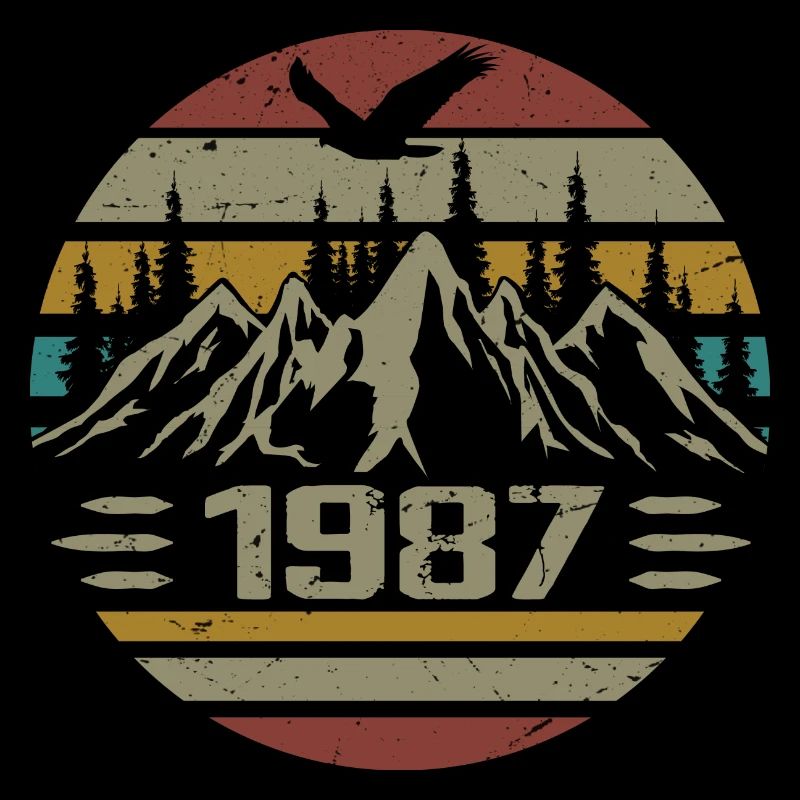 Né en 1987 Original Retro 1987 Cadeau Anniversaire