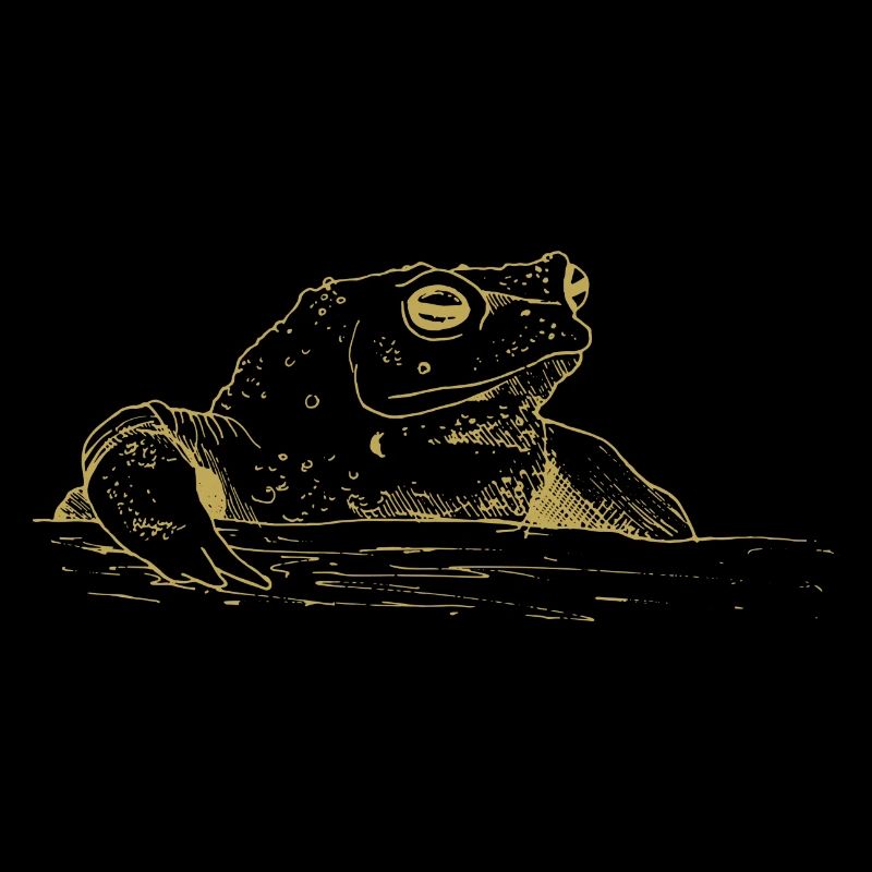 Illustrated designs with toad