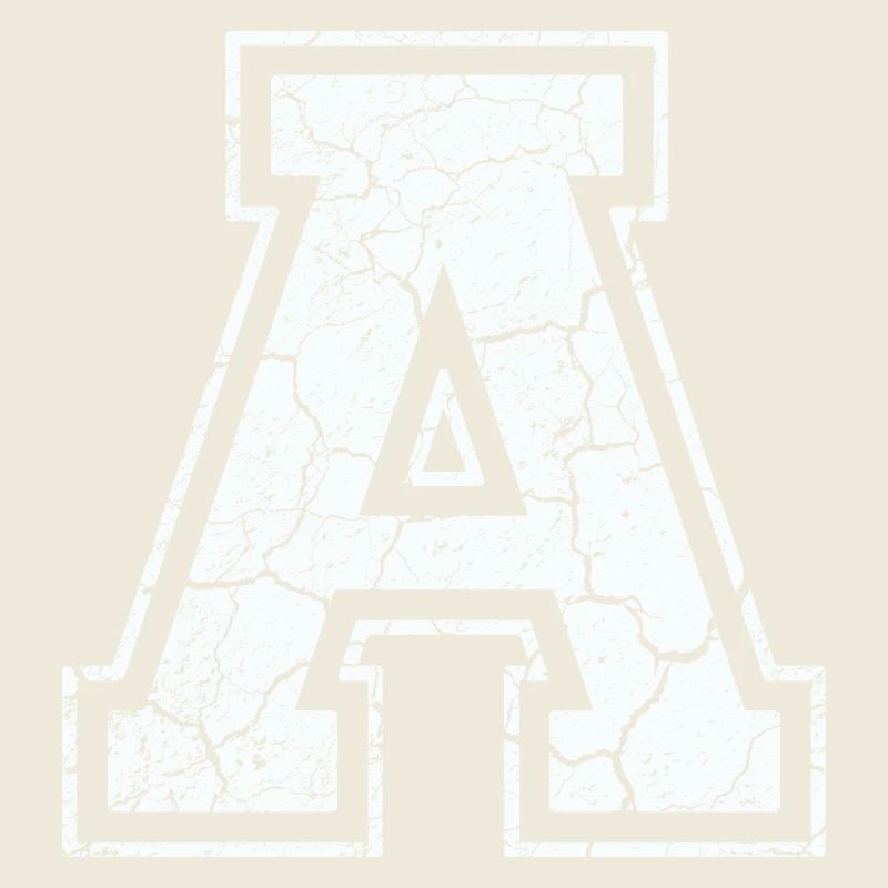 2(A) in white in the used look