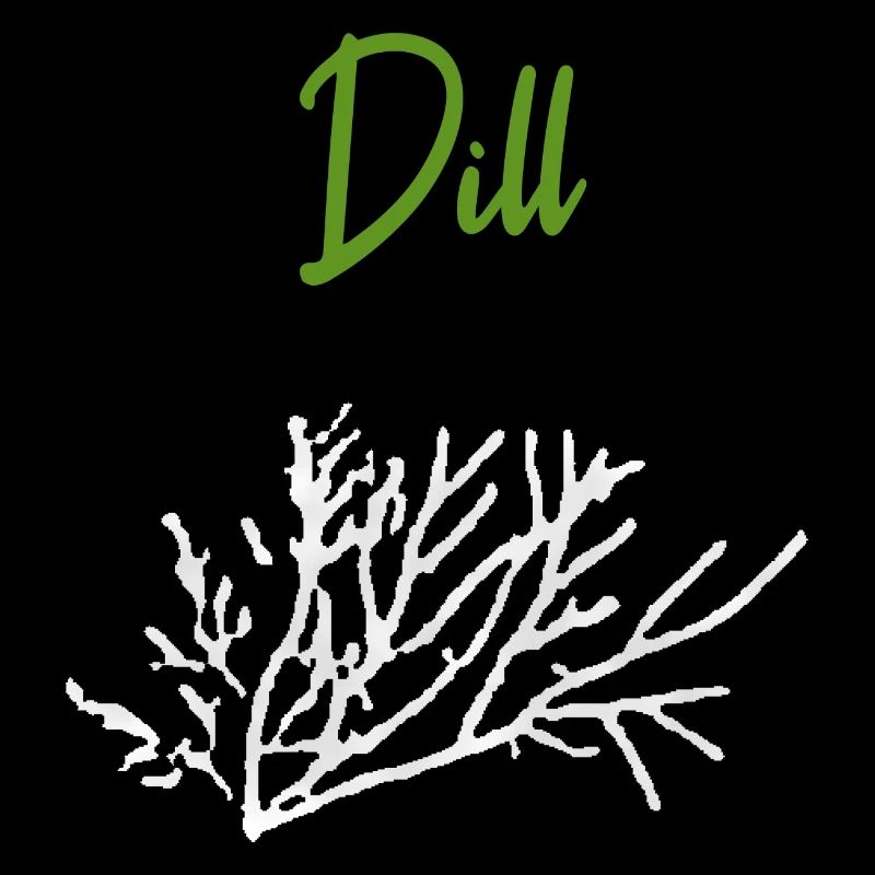 Dill Kräuter