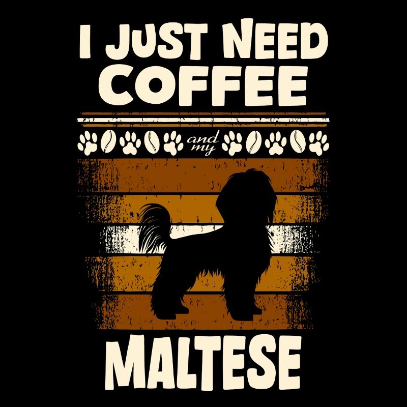Maltese Hund kaffee