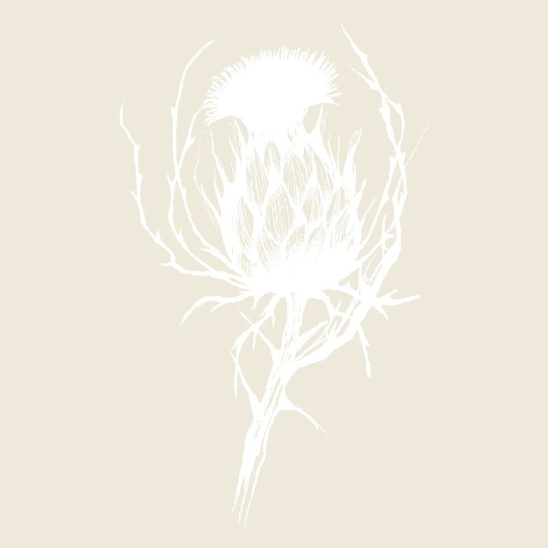 La délicate menace de la fleur de chardon