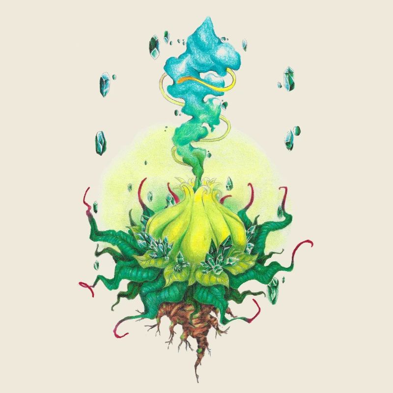 06. Âme du guérisseur