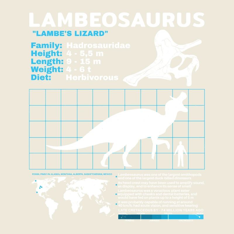 Fiche technique Lambeosaurus Fiche d’information