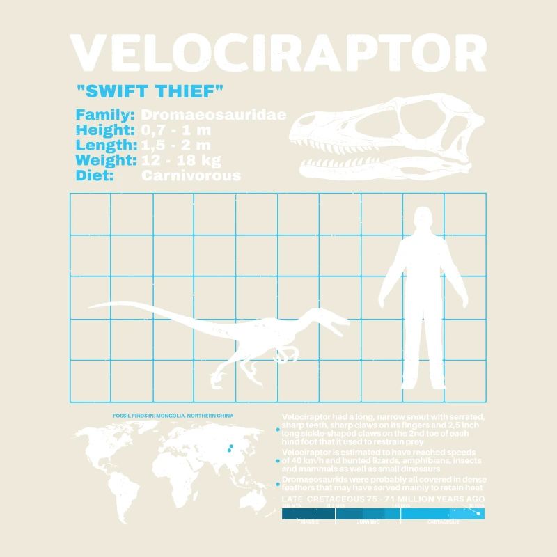 Fiche d’information sur Velociraptor