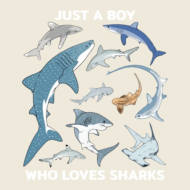 Just a boy who loves Sharks