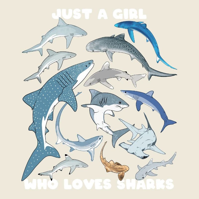 requin tigre requin bleu requin baleine espèce de requin