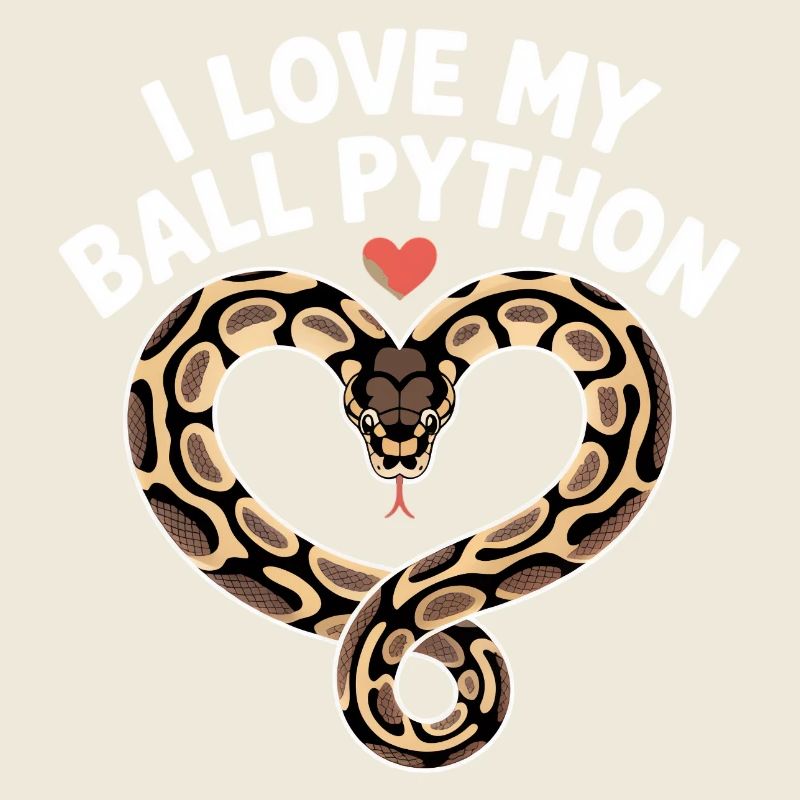 J’adore mon python royal ! Roi python