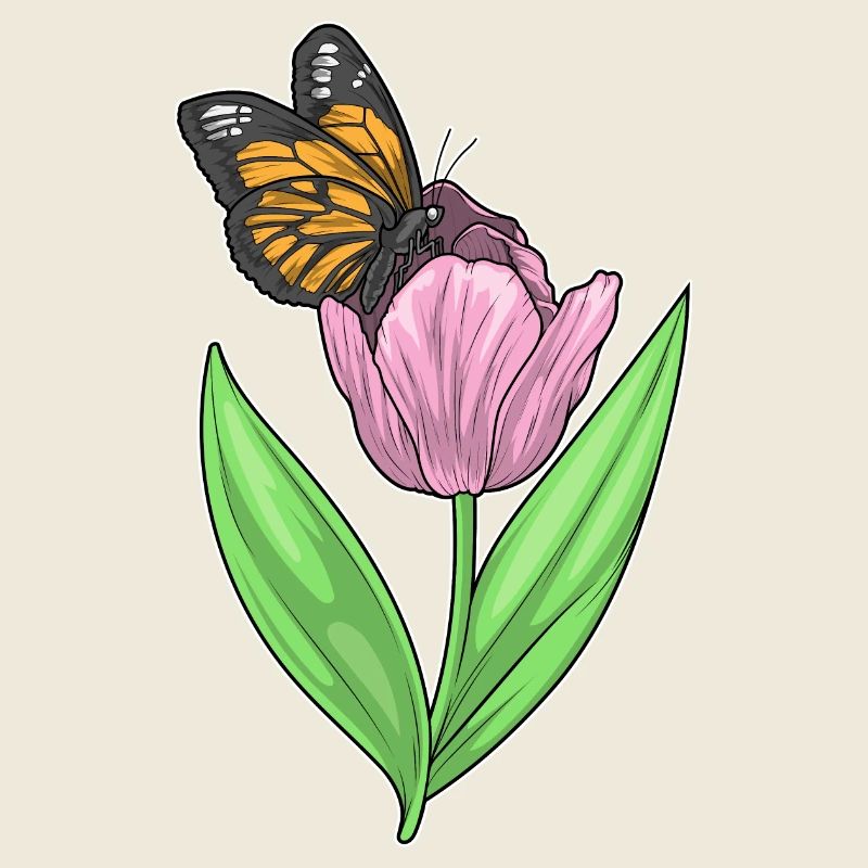 Schmetterling Tulpe