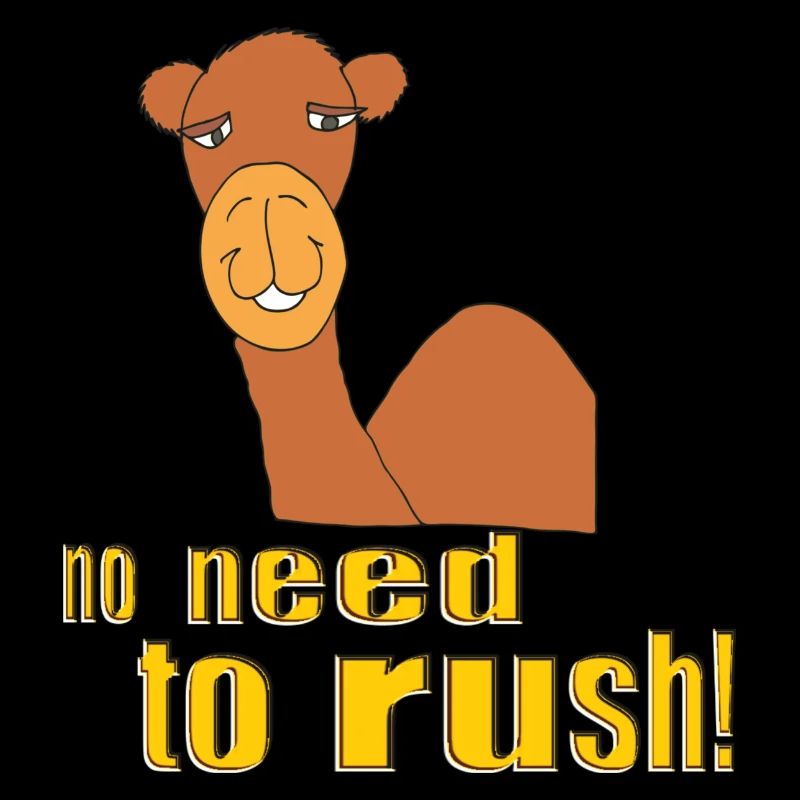 camel no need to rush