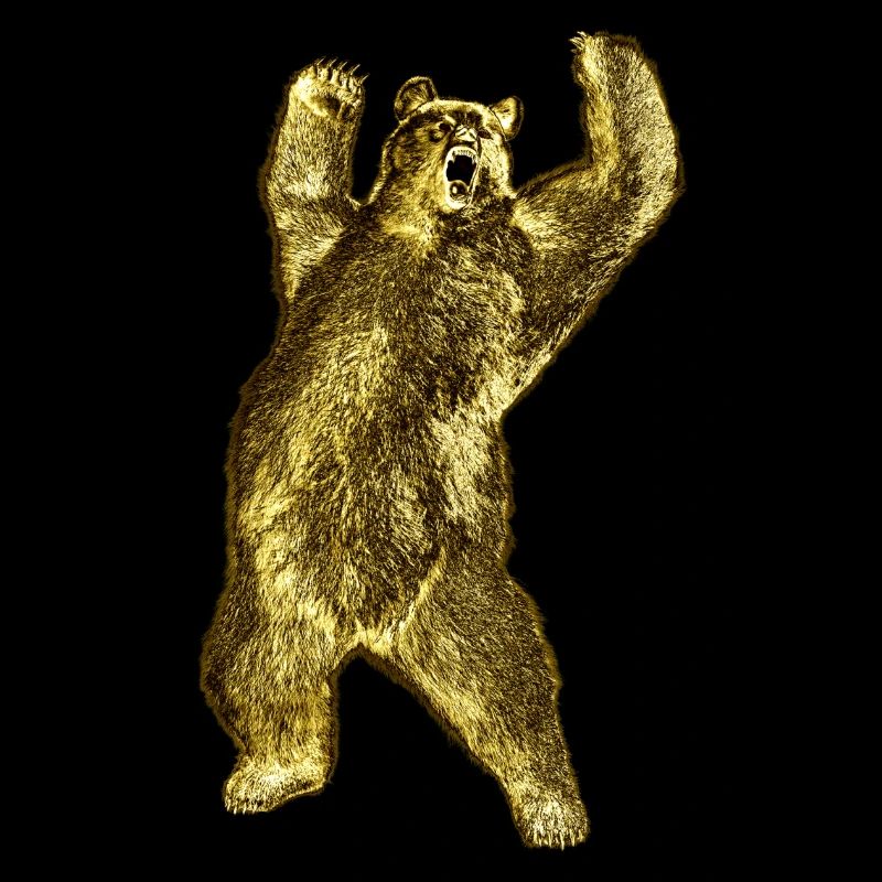 Kraftvoller Bärenauftritt