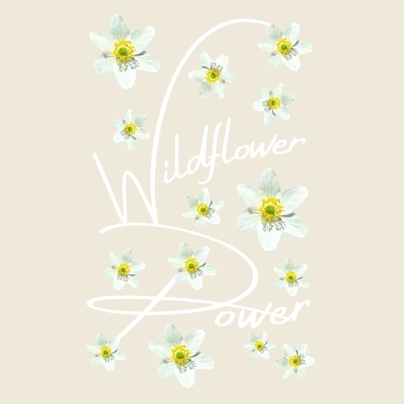 WOOD ANEMONE