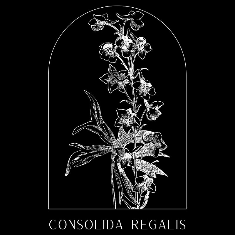 Fleurs Botaniques Design, Plante Minimaliste