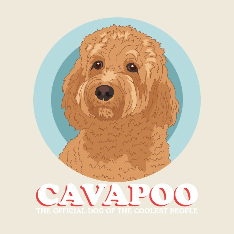 Cavapoo Cavoodle Chien Chien Propriétaire Cadeau