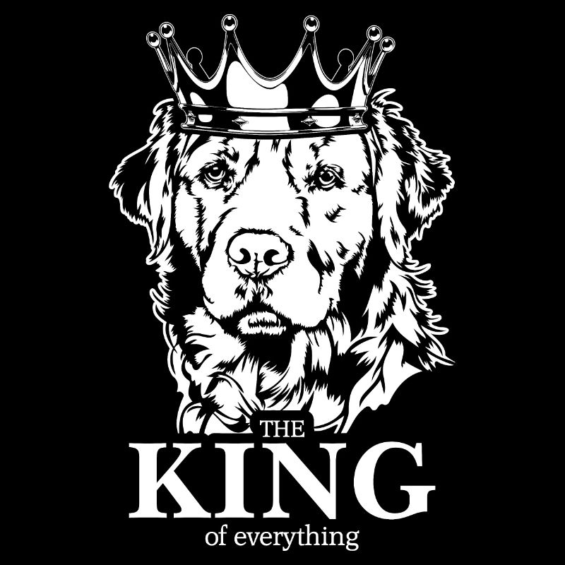 Golden Retriever King of everything Hund Wilsigns