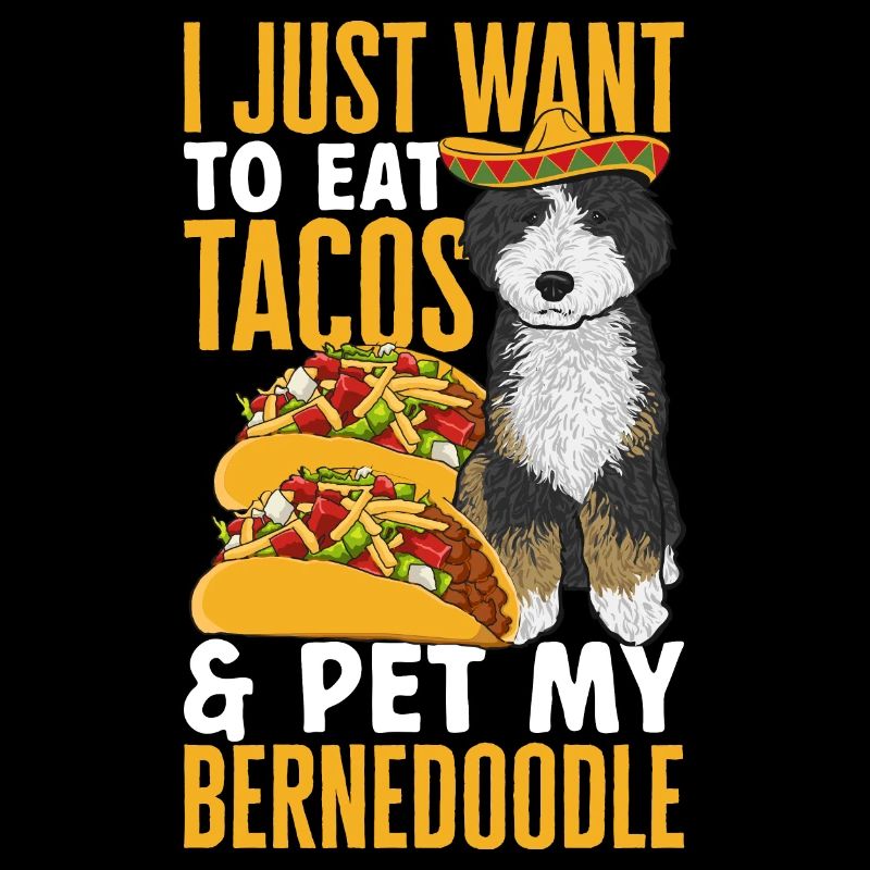 Bernedoodle Hund