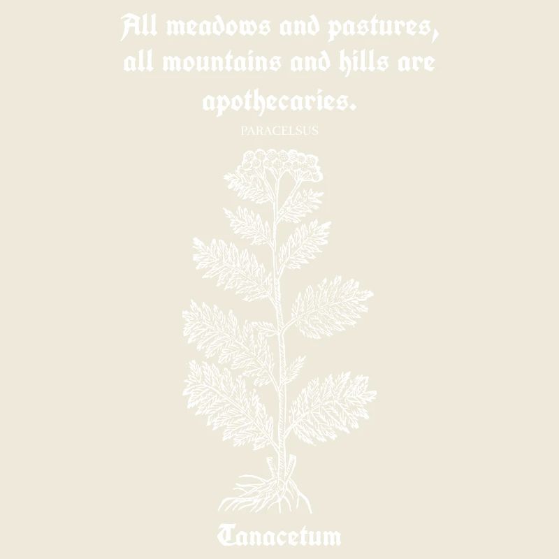 Citation latine de Paracelse – Illustration de tanaisie