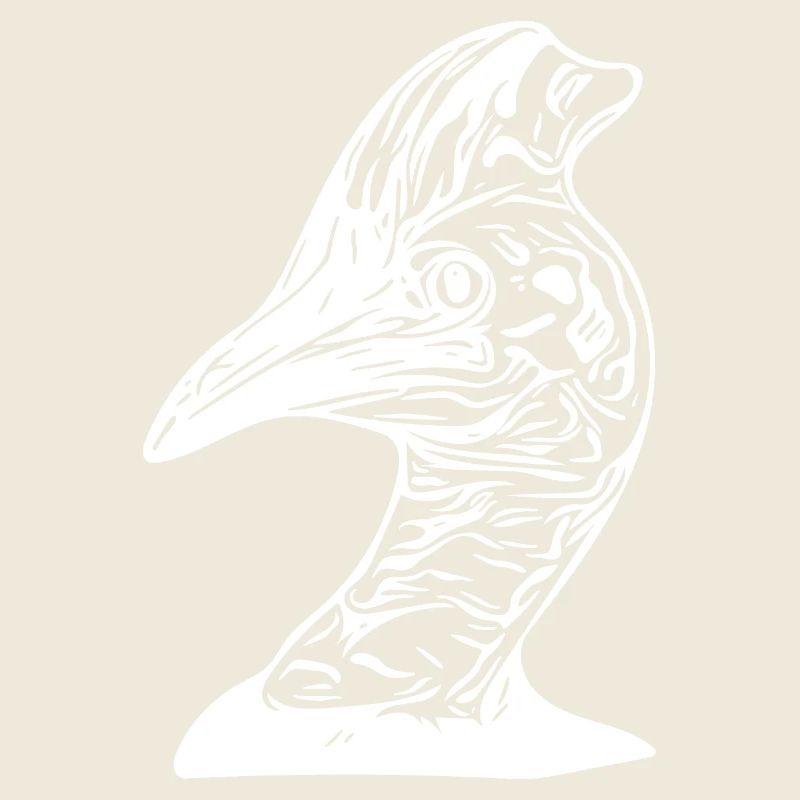 Australian Cassowary Ratite