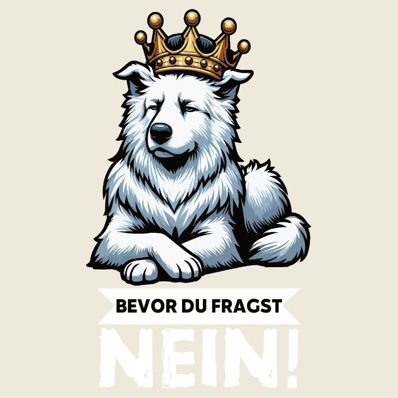 Bevor Du Fragst Weißer Schäferhund Schäferhund 