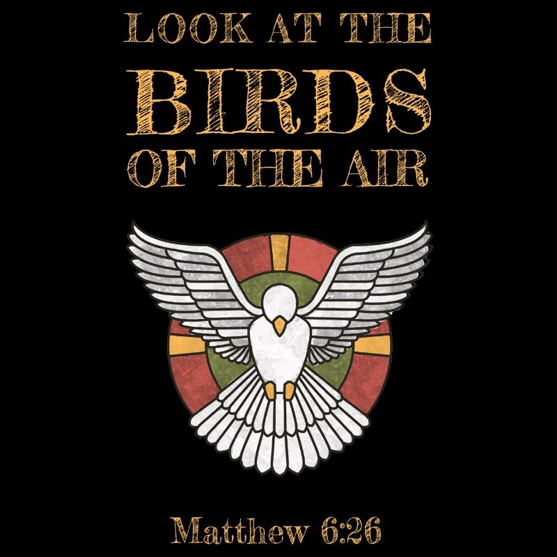 Regardez les oiseaux du ciel