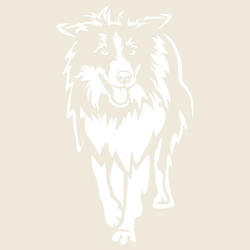 Border Collie "Black Edition"