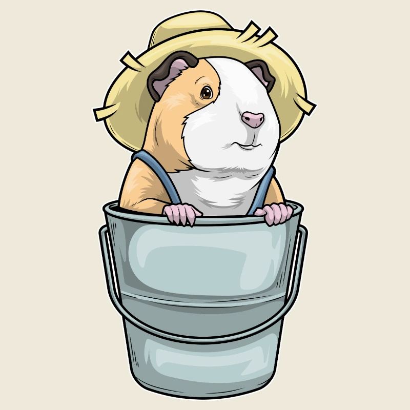 Meerschweinchen Landwirt Eimer