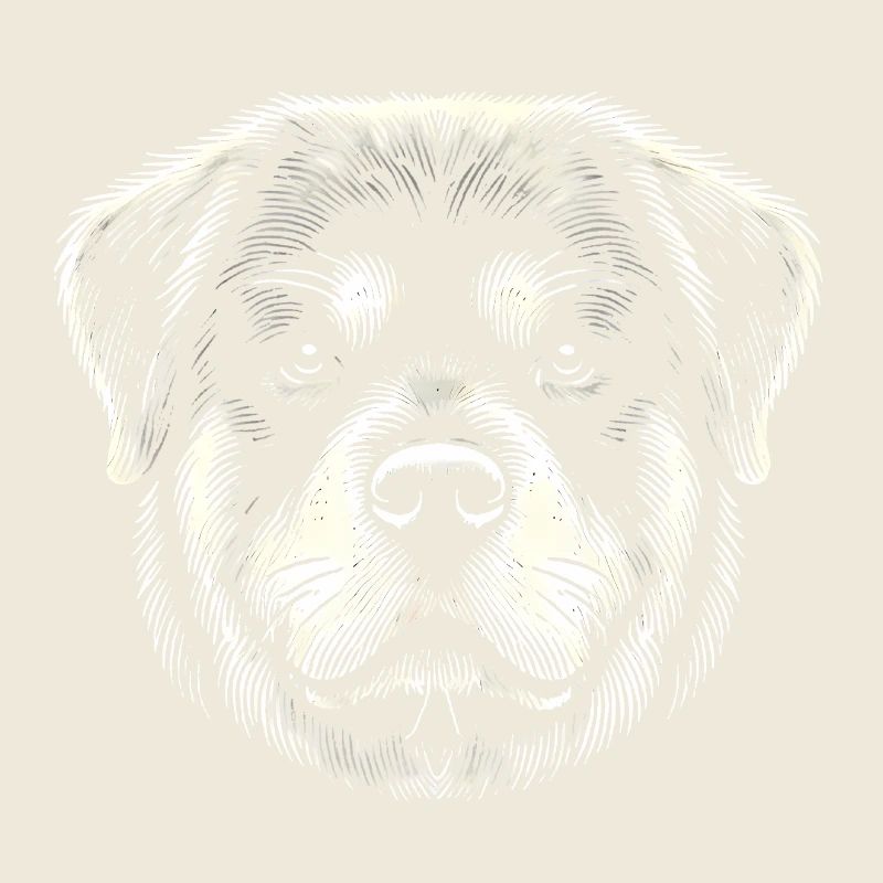 Rottweiler Head Ink Illustration