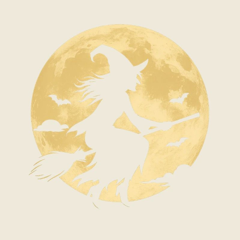 Sorcière au clair de lune sur balai