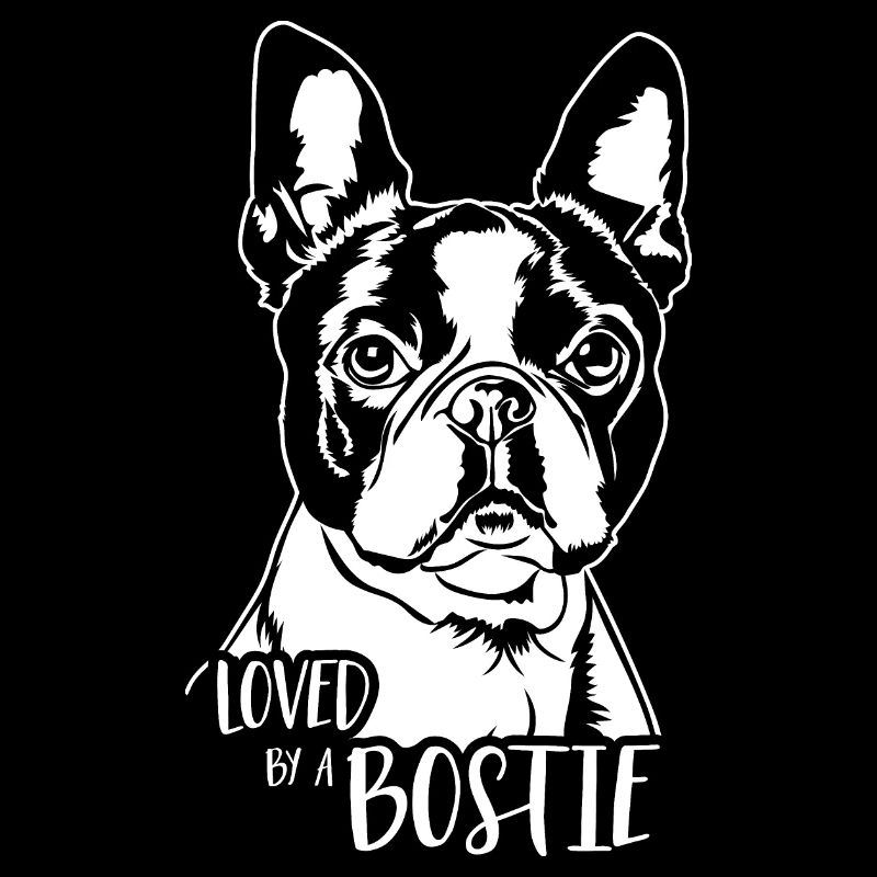 Boston Terrier loved by a Bostie Hunde Wilsigns