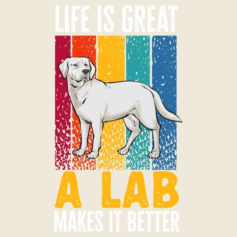 Labrador Retriever blanc Labrador Labrador blanc