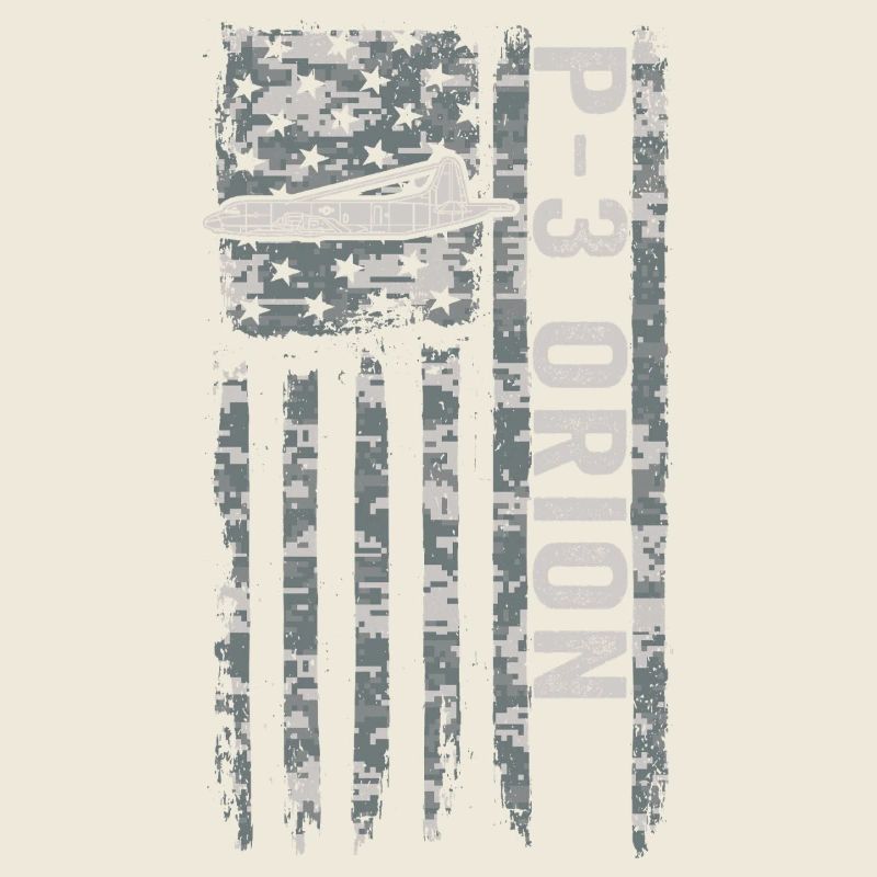 P-3 Orion, American flag, military camouflage flight