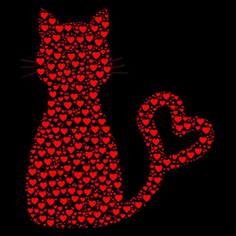 Katze Herzen