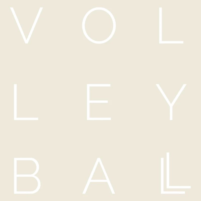 volleyball symbol Logo icon idee schrift Vektor