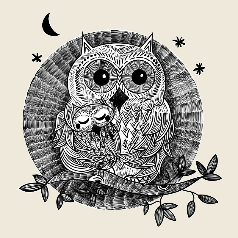 Eulen Illustration schwarzweiß