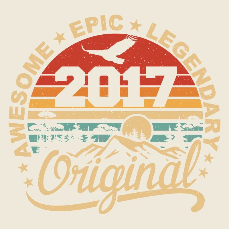 Original 2017 Geburtstagsgeschenk 2017 Retro 2017