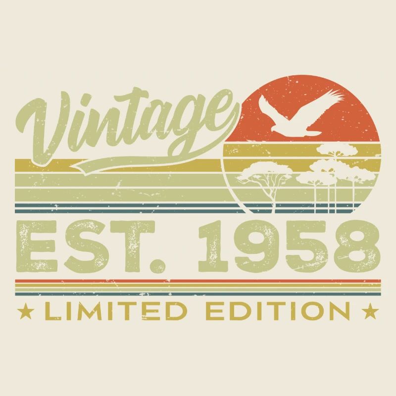 Vintage 1958 Awesome Since 1958 Gift 1958 Retro