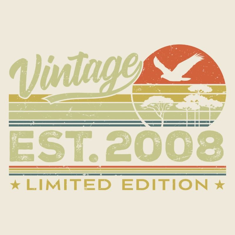 Vintage 2008 Fantastisch seit 2008 Geschenk 2008 Retro