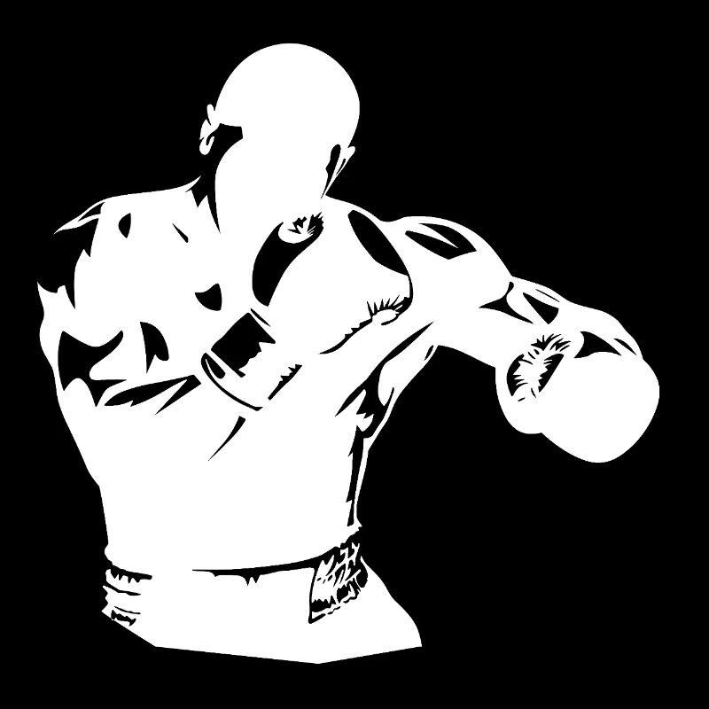 boxen kampfsport ringkampf boxhandschuhe