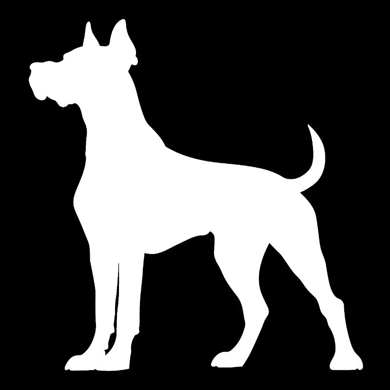Great Dane Dog White Dog Owner