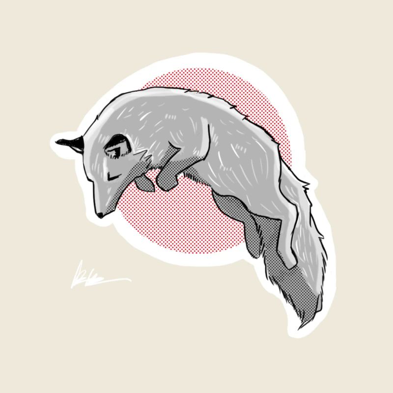hunting snow fox