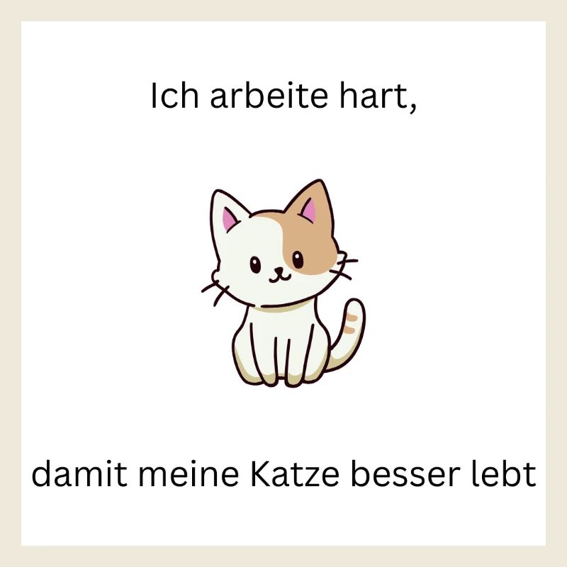 Everything for your cat