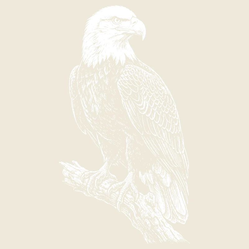 Perched Eagle Silhouette