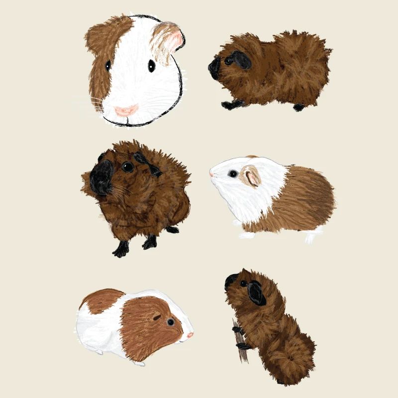 Nettes Design mit Meerschweinchen 2