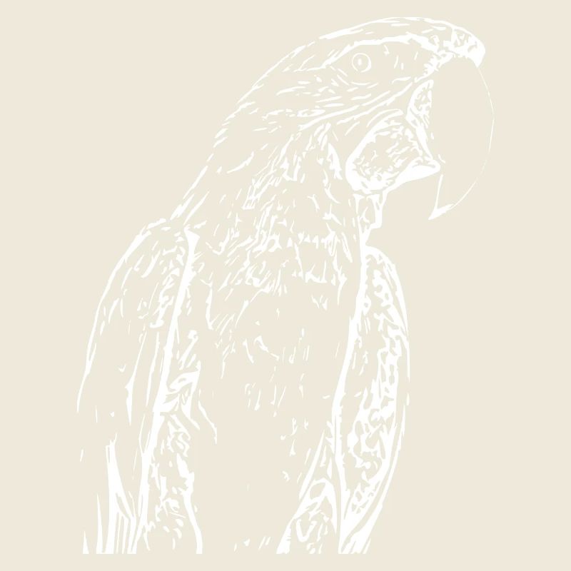 Papageien Vogel weiß