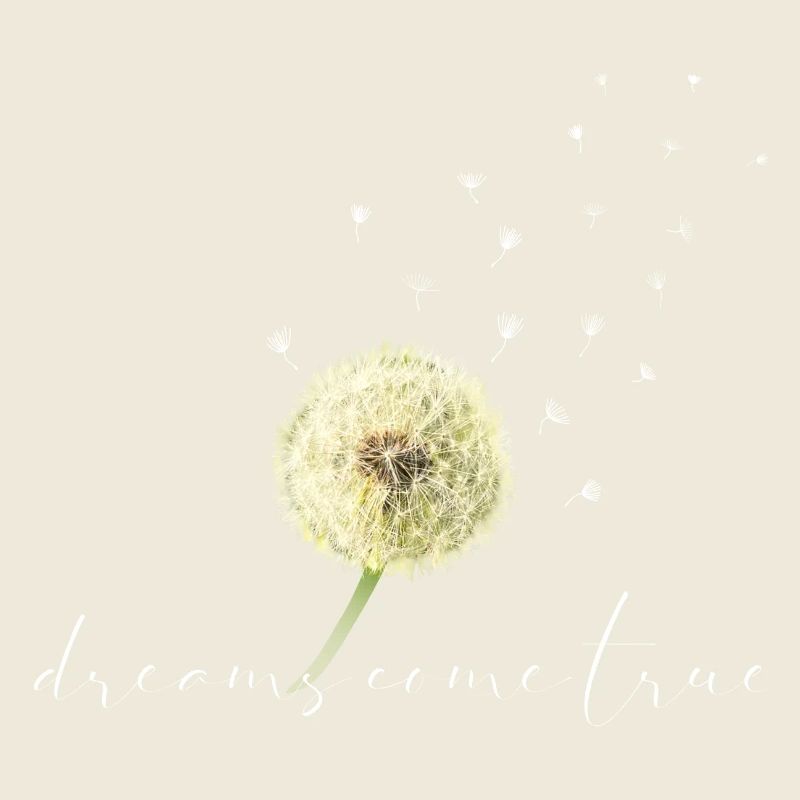 Pusteblume dreams come true
